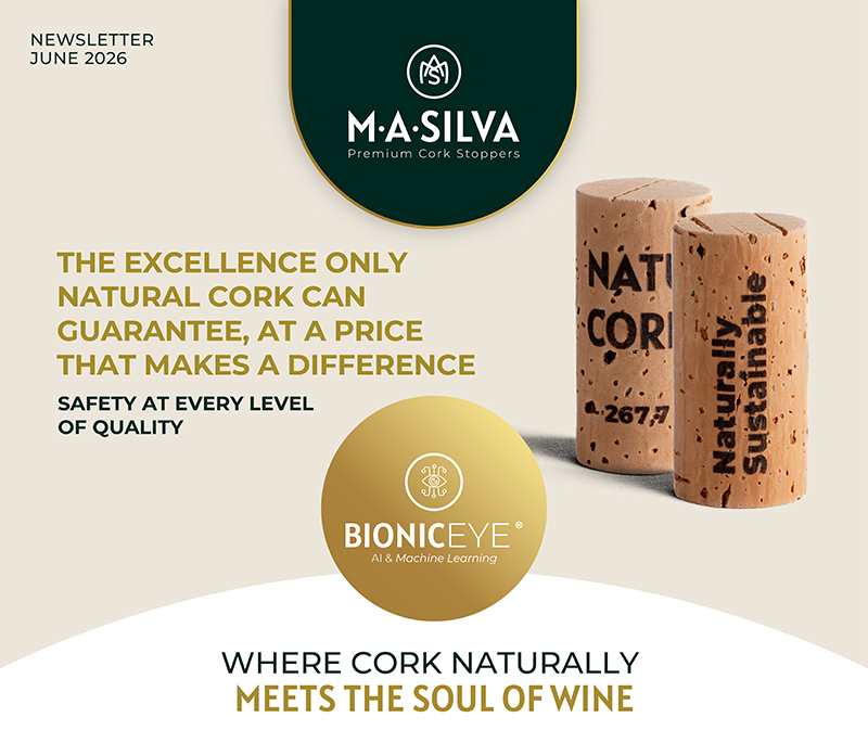 M. A. Silva USA